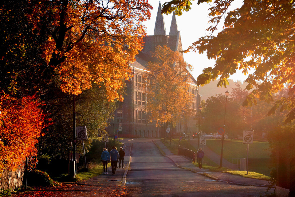 Foto: Mentz Indergaard/NTNU Info