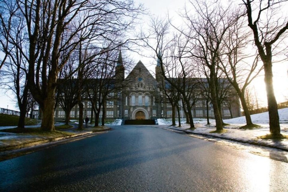FOR DÅRLIG: - Hele universitetets miljøinnsats har vært for dårlig. Det må vi ta tak i nå, sier Organisasjonsdirektør Trond Singsaas ved NTNU. (Arkivfoto: Sveinung Sundfør Sivertsen)