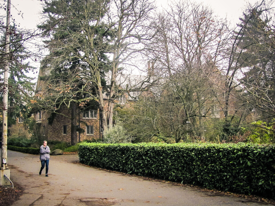 GRØNN HVERDAG: Ved University of Washington bruker de miljøsatsing som et middel for å tiltrekke seg nye studenter.