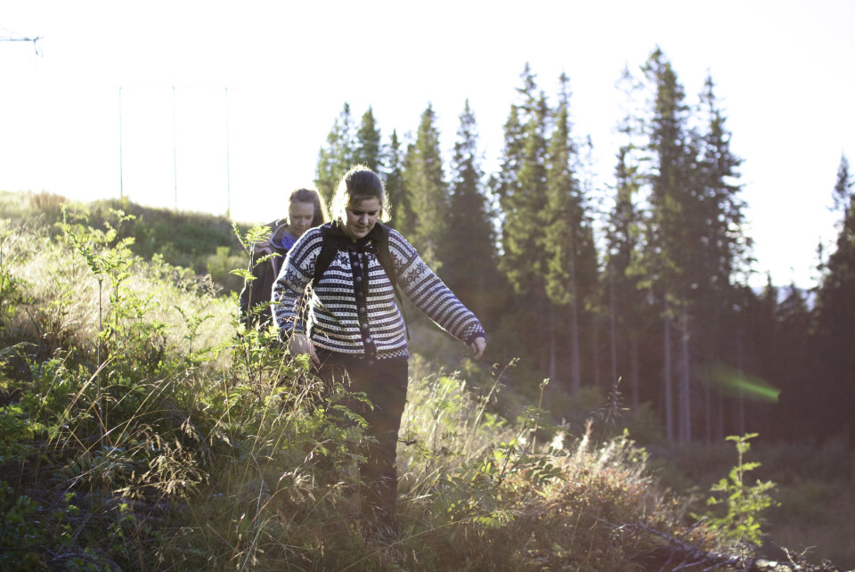 Plukk gourmetmat mellom forelesningene