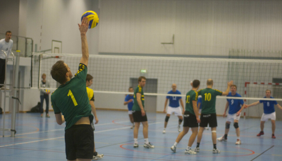 LETER ETTER SPONSORER: Elitelagene til NTNUI volleyball vil lette egenandeltrykket ved å skaffe flere sponsorer.