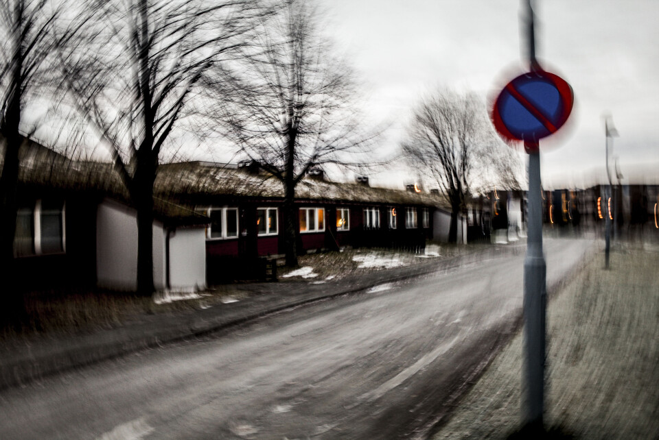 Kikkerproblem på Moholt