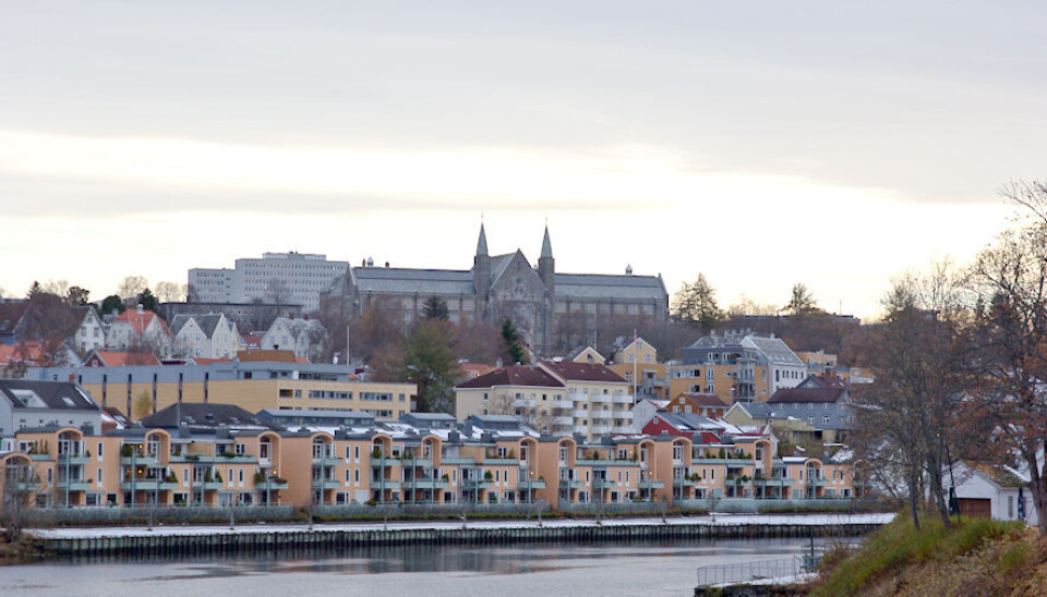 NTNU nest best