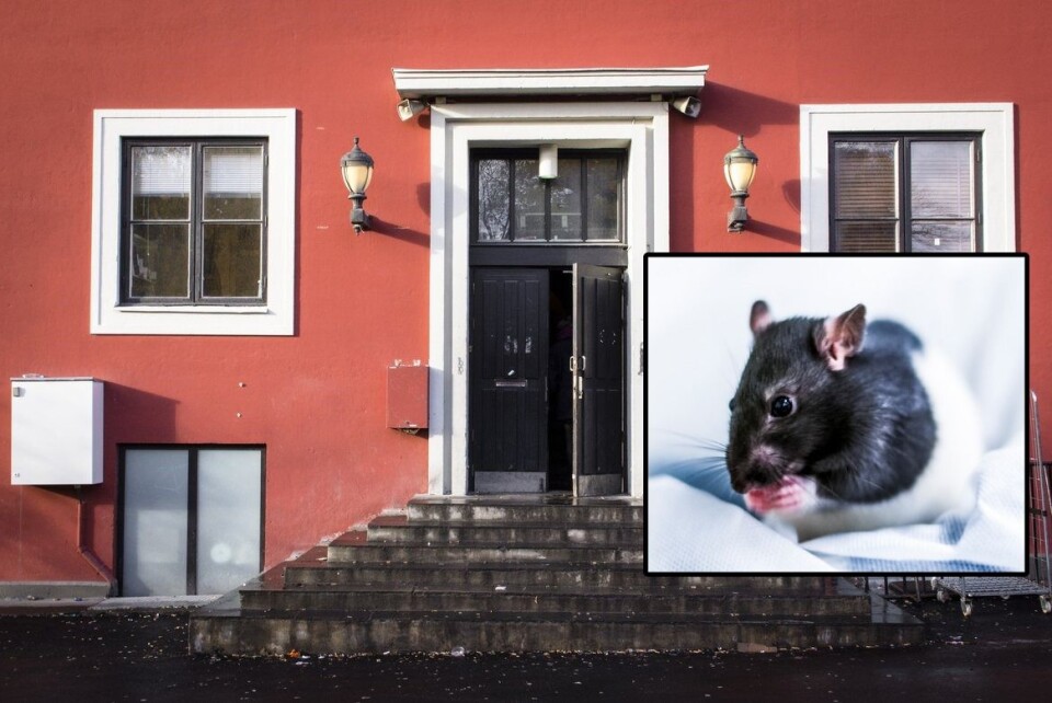Rotteinvasjon på Samfundet