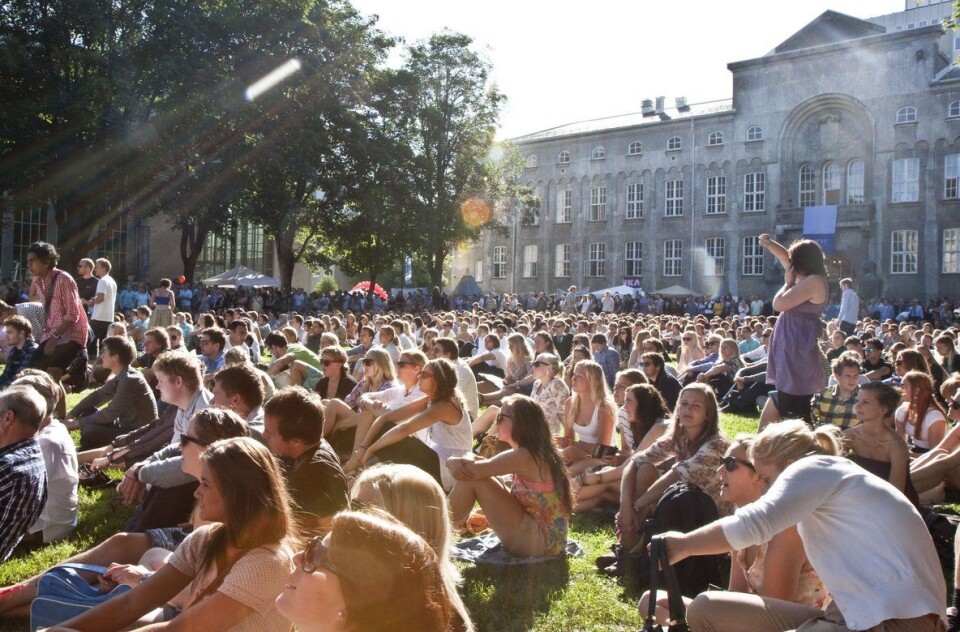 Her er Trondheims mest populære studier