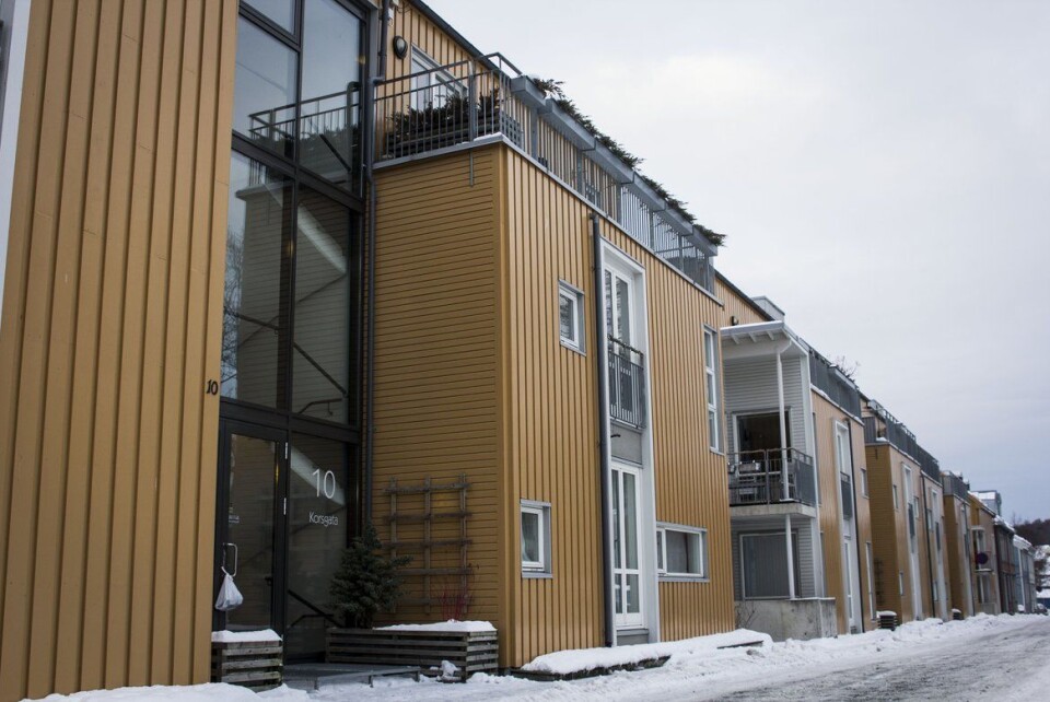 Forlanger flere studentboliger