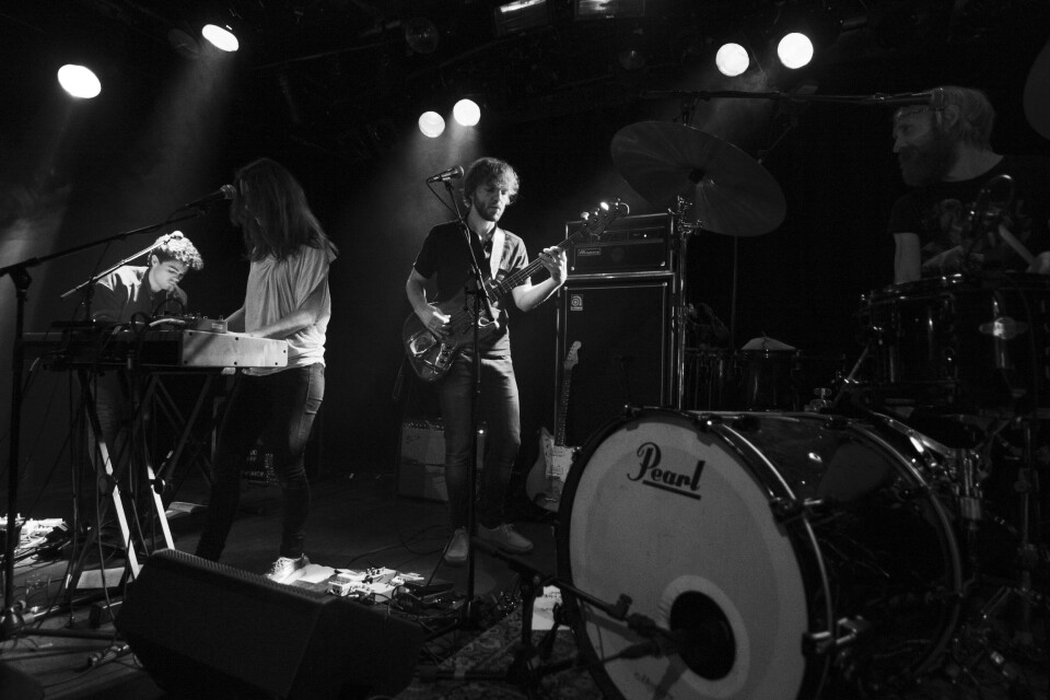 Band of Gold forgylte Knaus