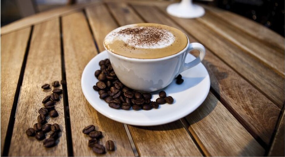 Du kan få med deg kaffesmaking på Digs på onsdag.