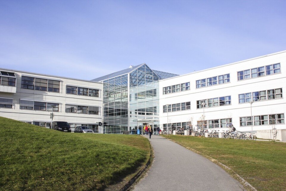 NTNU øker nynorskbruken