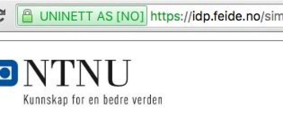 Slik skal adresselinjen se ut.