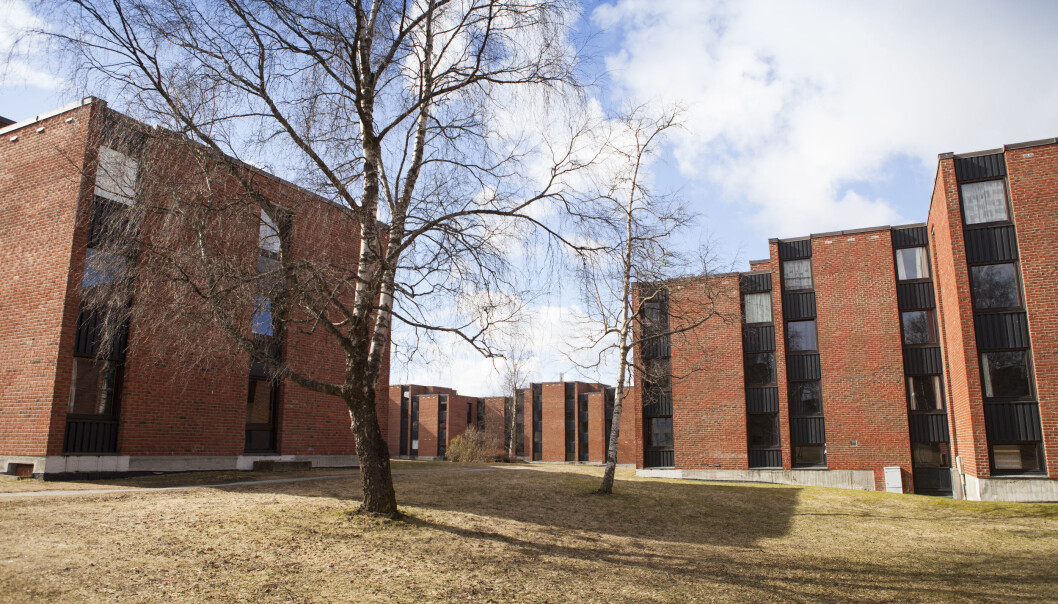 <span class=" font-weight-bold" data-lab-font_weight_desktop="font-weight-bold">TA VARE PÅ DET GAMLE:</span> De eldste studentboligene på Moholt Studentby ble bygget på 60-tallet. Sit mener det er viktig å ta vare på de bygningene som allerede finnes. <span class=" font-weight-bold" data-lab-font_weight_desktop="font-weight-bold">TA VARE PÅ DET GAMLE:</span> De eldste studentboligene på Moholt Studentby ble bygget på 60-tallet. Sit mener det er viktig å ta vare på de bygningene som allerede finnes.