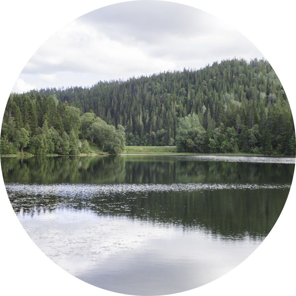 I Trondheim kan du finne et bredt utvalg av turstier