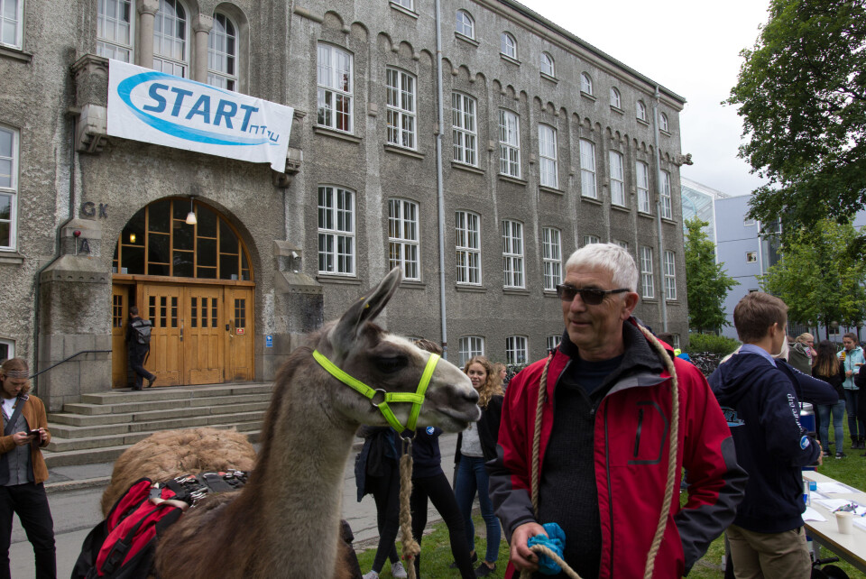 Hvorvidt det var smilet til Martin som sjarmerte damene i senk er ikke Ness så sikker på, men han var uansett en stor publikumsmagnet