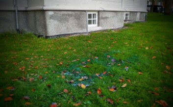 Mandag ettermiddag var blå spraymaling fortsatt synlig på gresset bak O.S. Bragstads plass 1. Mandag ettermiddag var blå spraymaling fortsatt synlig på gresset bak O.S. Bragstads plass 1.