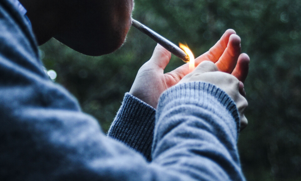 Studenter konservative til hasj-legalisering