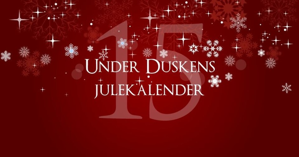 Julekalender: luke 15
