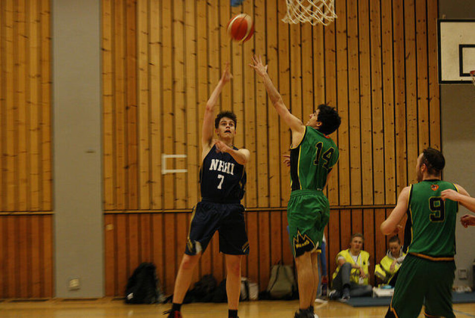 Nordnorsk basket-gull