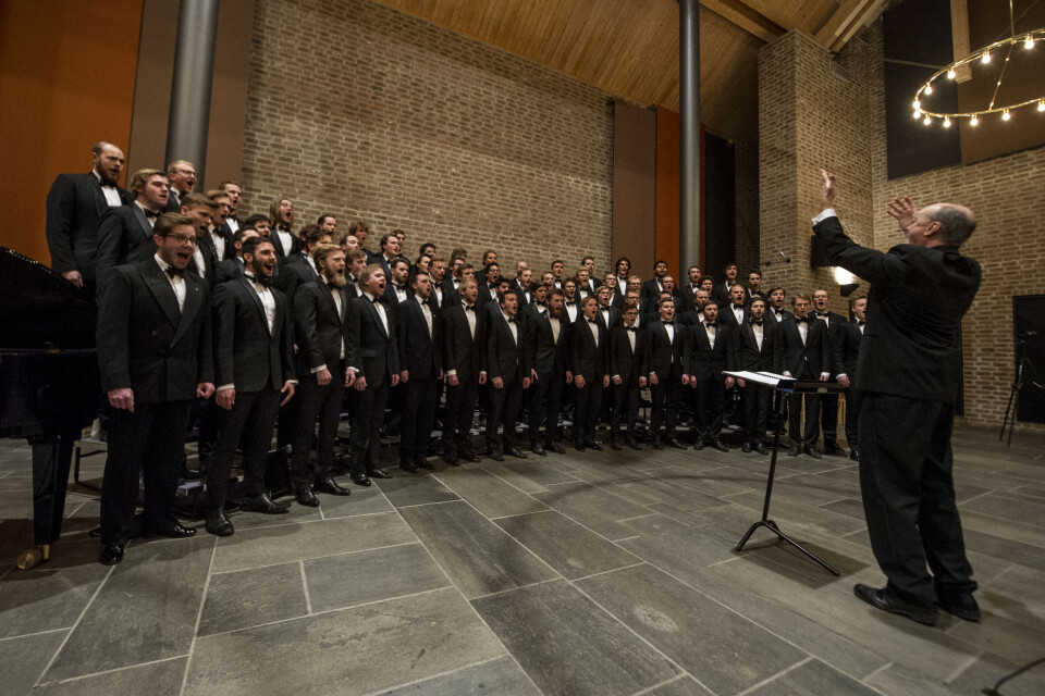 Sleskesjarmører med musikalsk verdi