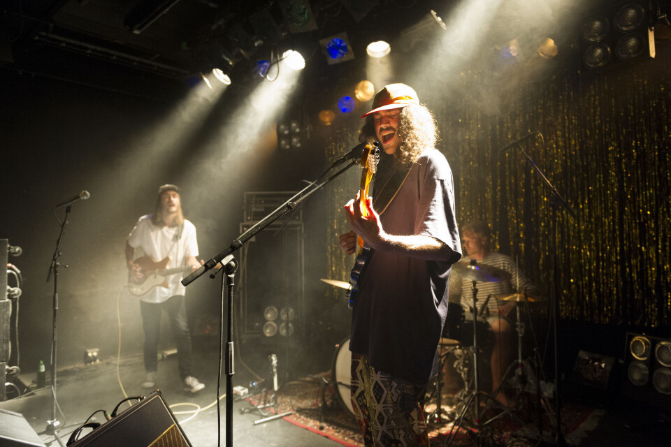 Konsertanbefalinger til UKA