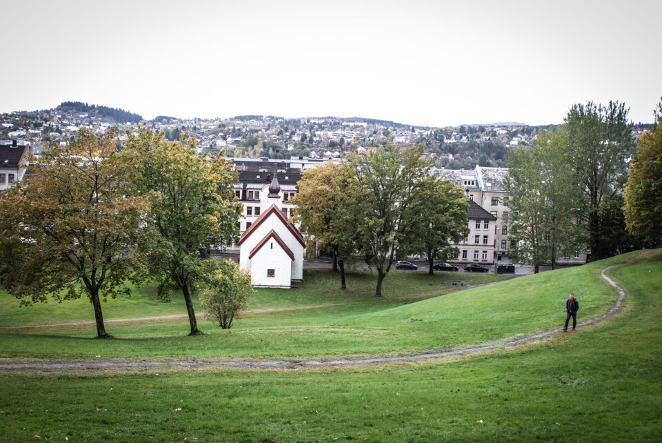 Lokal motstand mot NTNUs planlagte parkutbygging