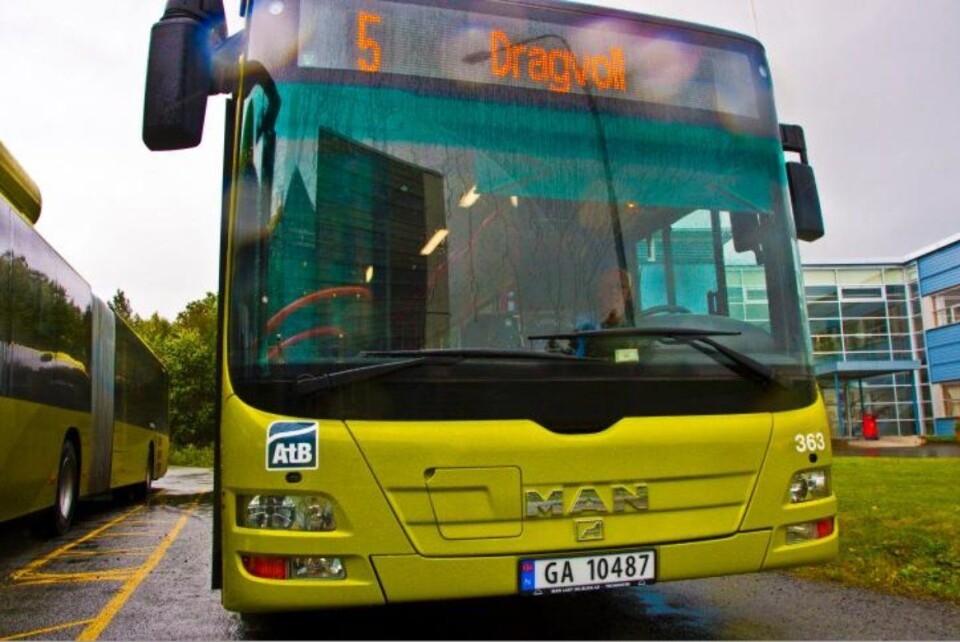 Enstemmig vedtak for gratis nattbuss i fylkestinget