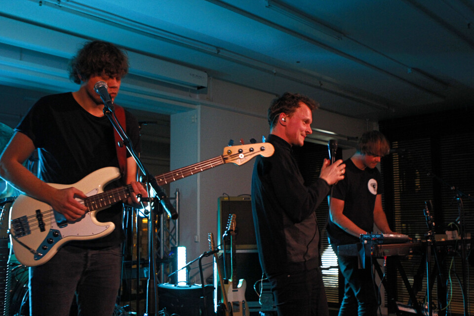 Trondheim Calling: Insomniac Bears