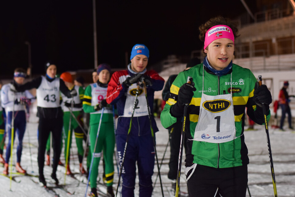 En sofagris ved skisporet