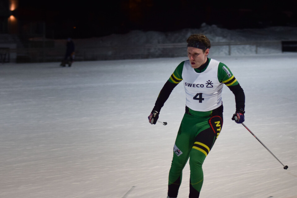 En sofagris ved skisporet