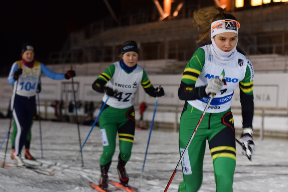 En sofagris ved skisporet