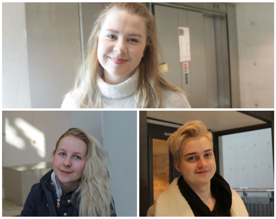 Fem på campus om Moholtkjellerne