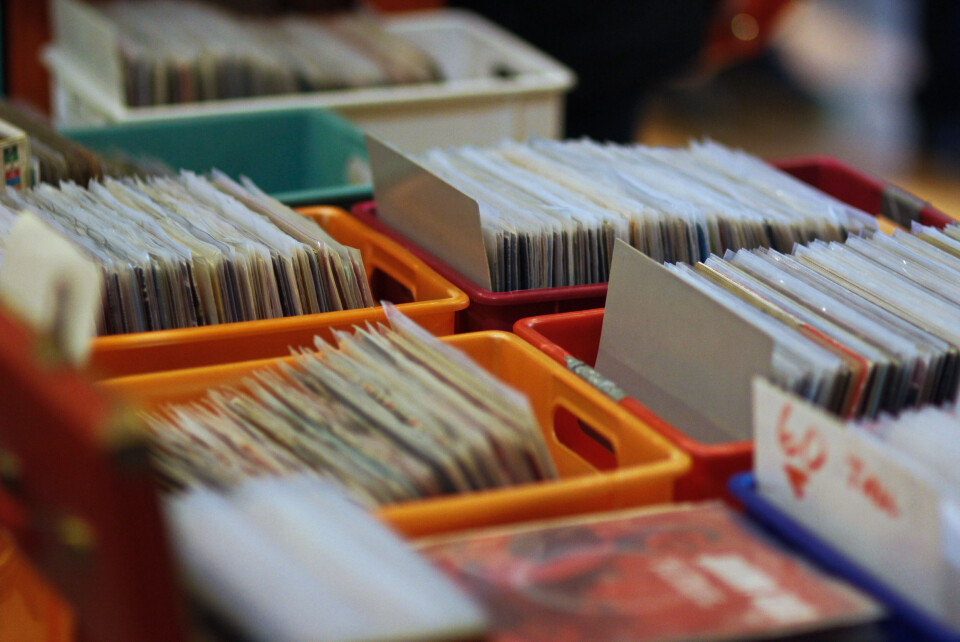 På vinylsafari i platejungelen