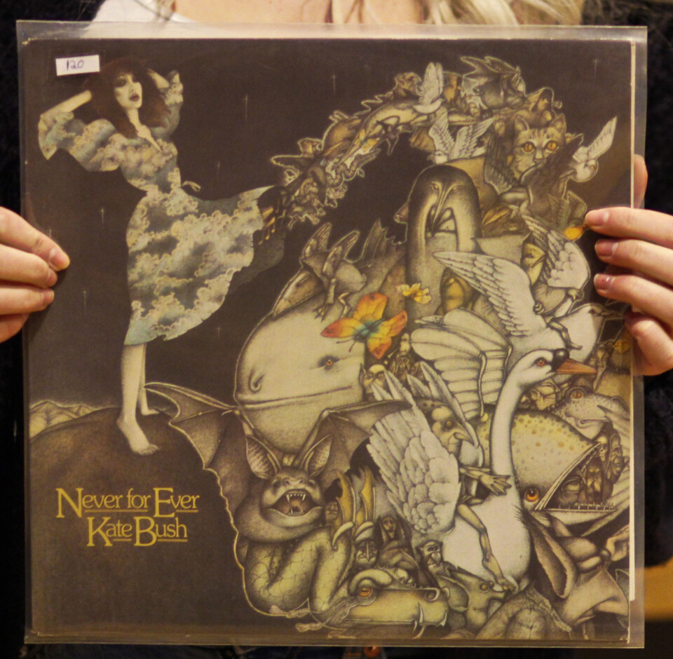 På vinylsafari i platejungelen