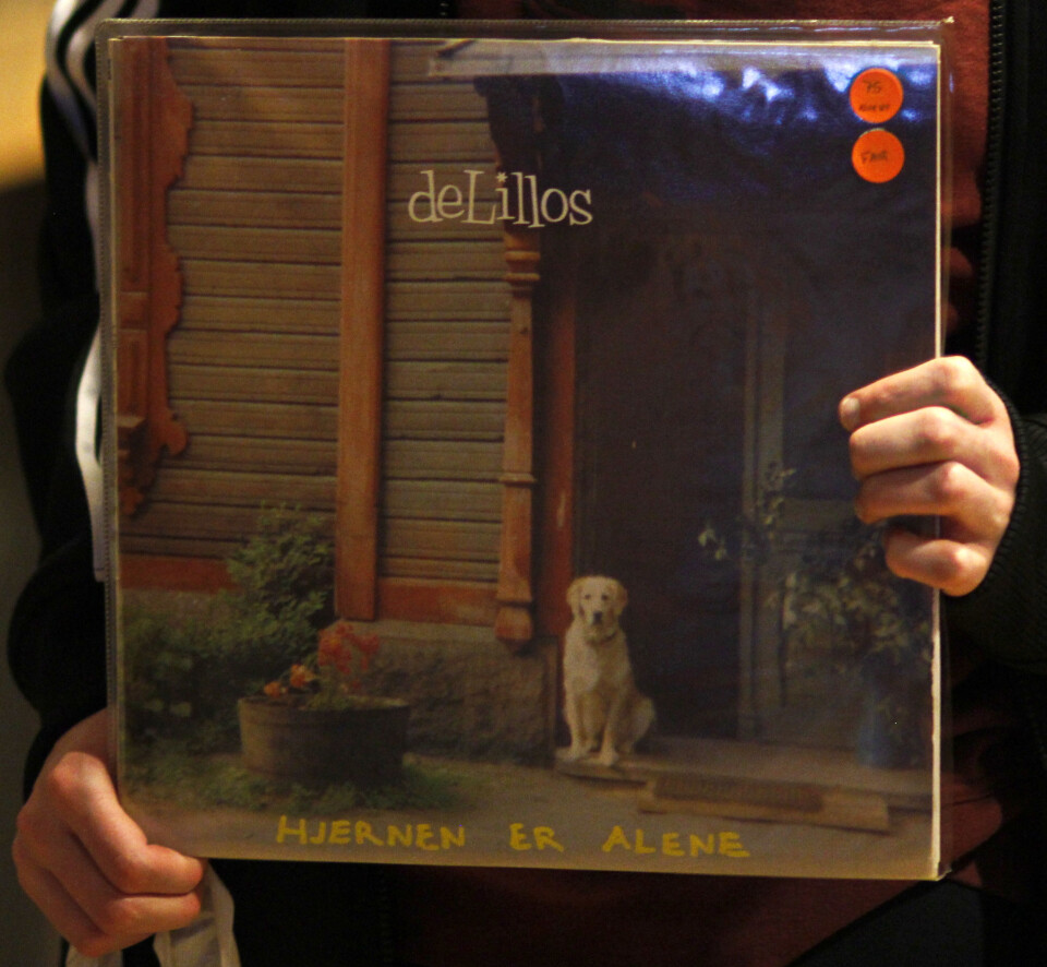 På vinylsafari i platejungelen