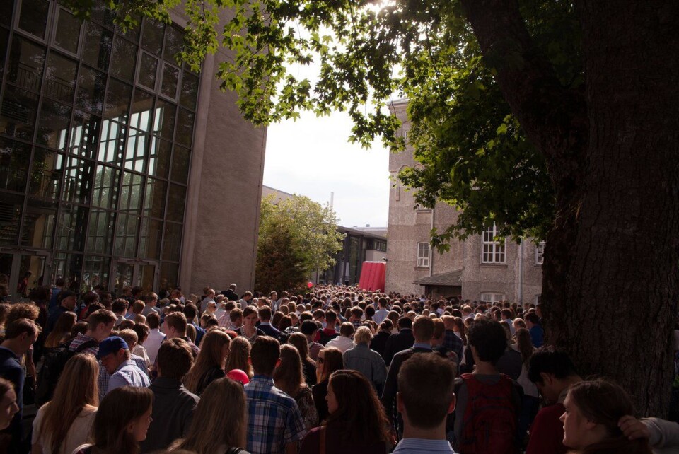 Synkende andel innvandrere som tar høyere utdanning