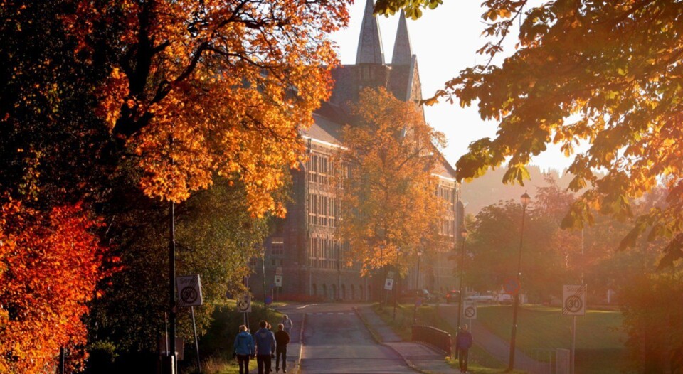 Her er konkurransen hardest for å komme inn på NTNU i Trondheim
