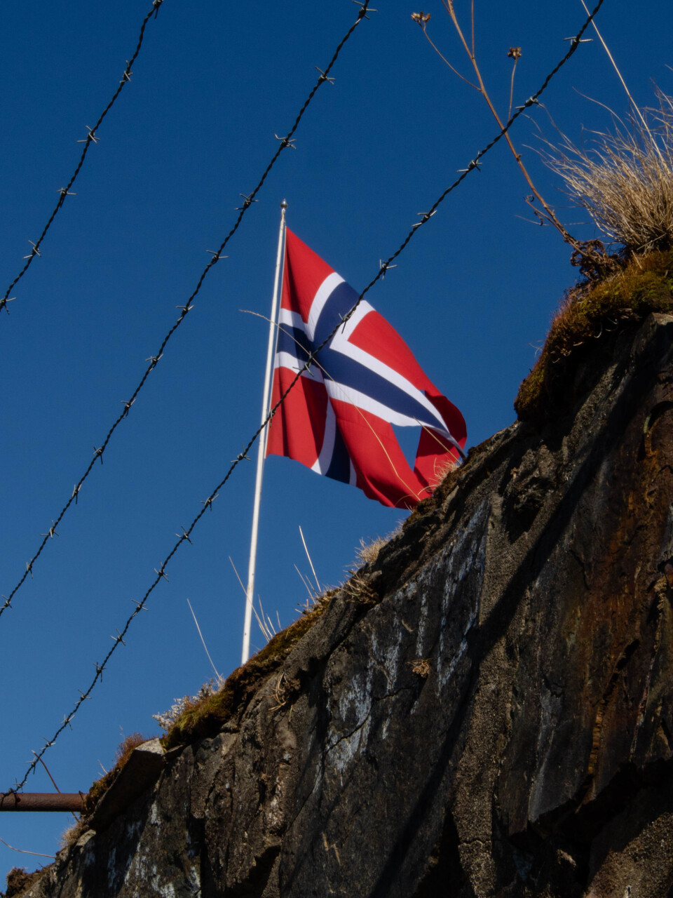 I de siste årene har A21 etablert 13 kontorer i tolv land. Ett i Oslo.
