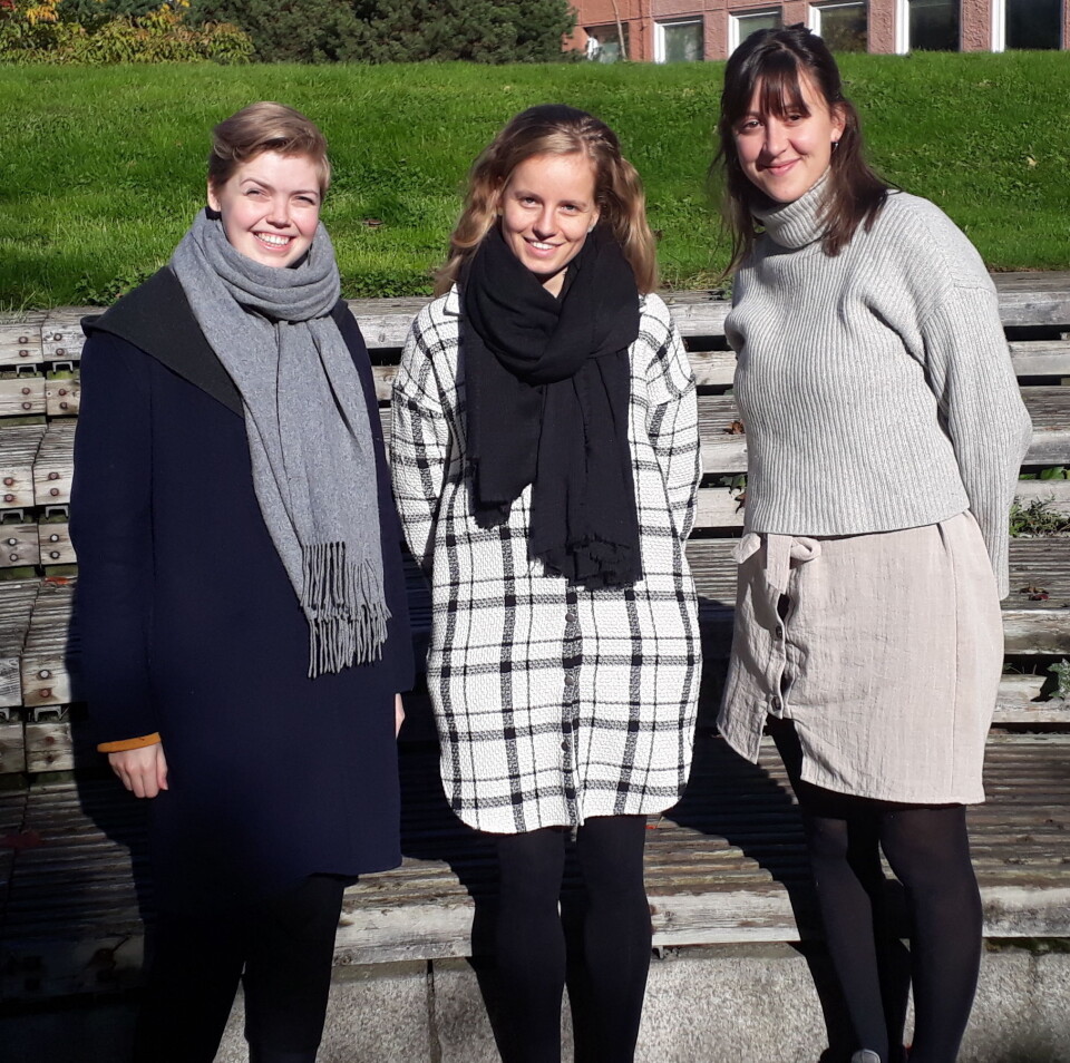 Mari Mostrøm Nilssen (f.v), Ellen Margrethe Romsaas og Agnes Dalgard er studentene bak byggeprosjektet som skal rehabilitere Strossa.