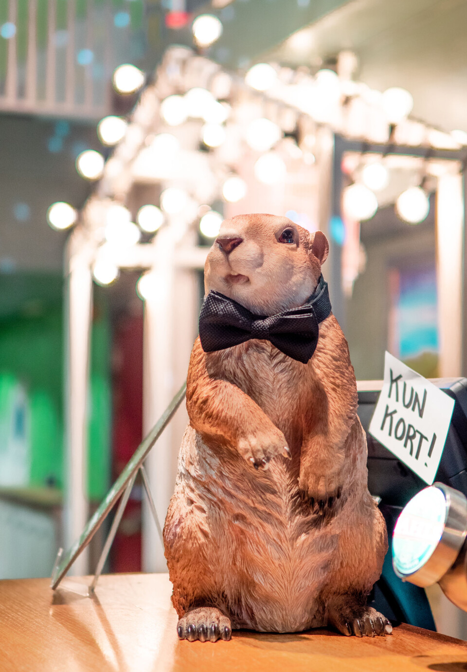 Sebastian beskriver Trondheim Camping som først og fremst en bar, hvor du kan spille minigolf. Hele lokalet er innredet som en god gammeldags camping.
