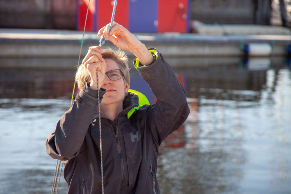 Studentene på fjorden