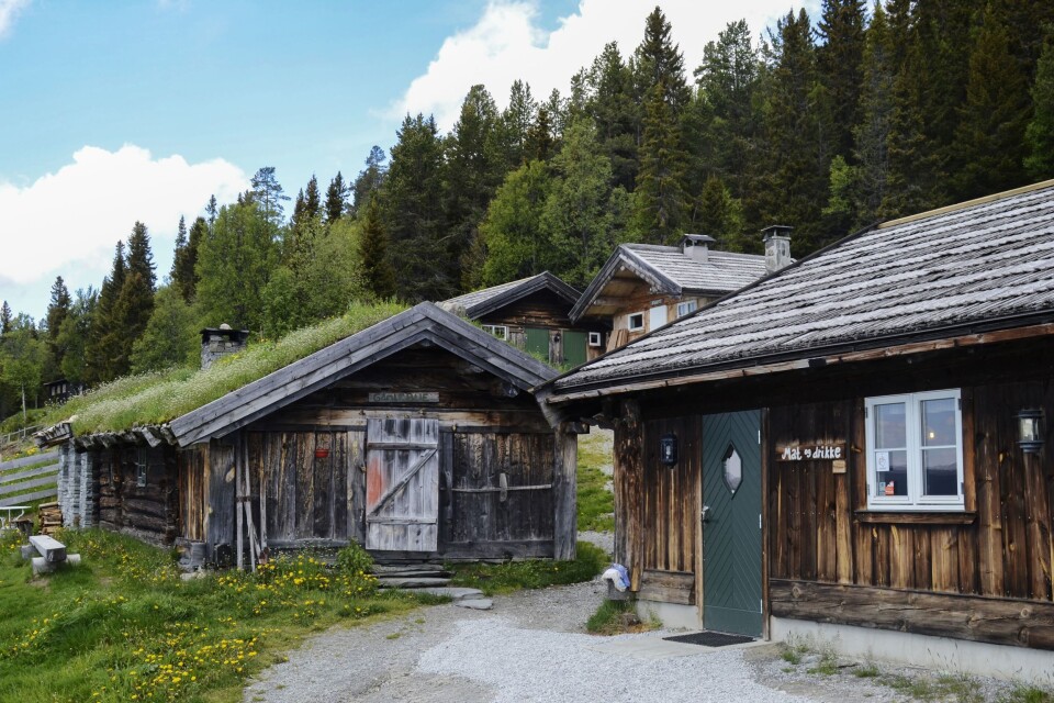 Kyrne på Håvardsrud