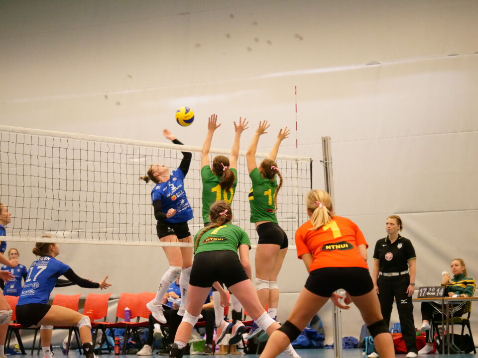 NTNUI volleyball kjører trenerbytte