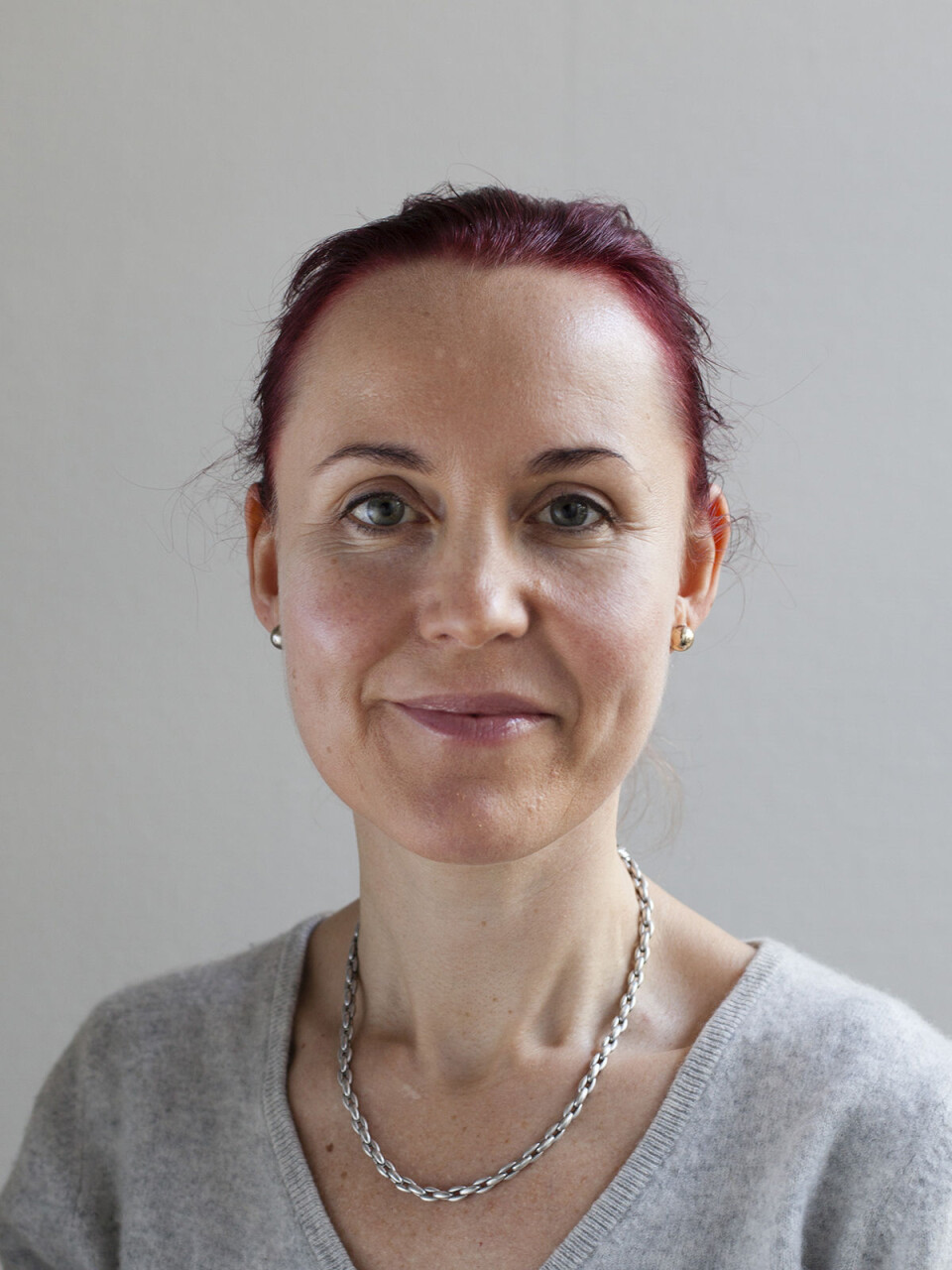 Professor ved institutt for tverrfaglige kulturstudier Vivian Anette Lagesen.