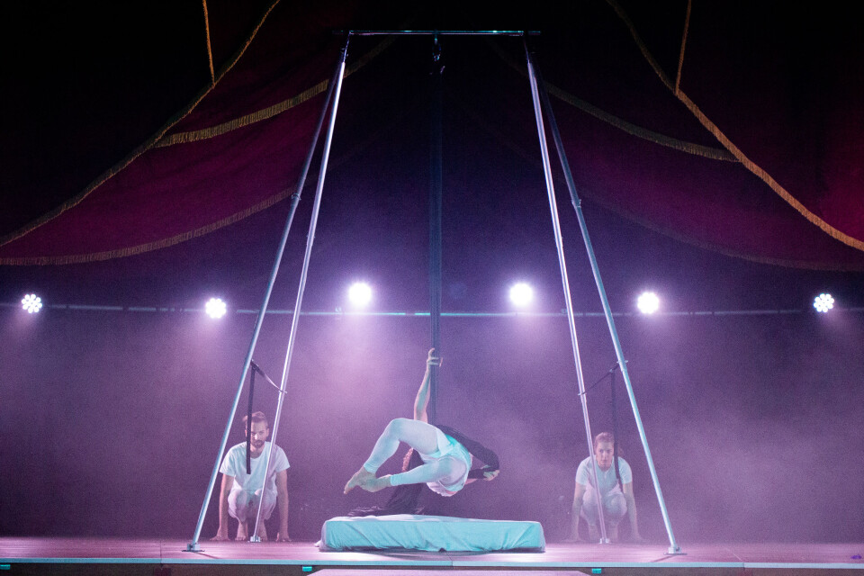 Pausefest på Cirkus