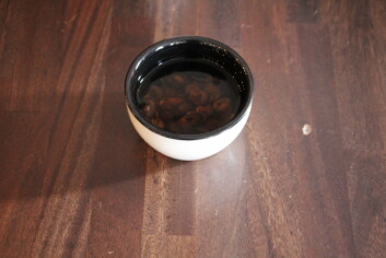 Slik ser cascara ut, te som lages på kaffe. Slik ser cascara ut, te som lages på kaffe.