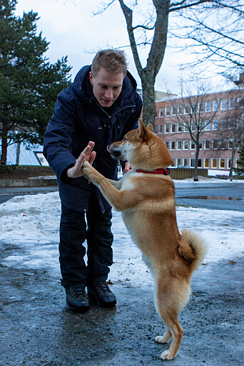 HVERDAGSTRUKTUR: Knut Høie Håland synes har har fått bedre rutiner etter at han fikk seg hund. . HVERDAGSTRUKTUR: Knut Høie Håland synes har har fått bedre rutiner etter at han fikk seg hund. .