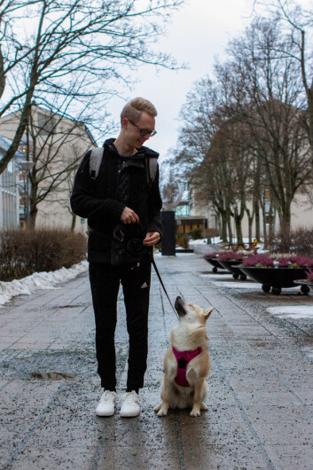 TIMING: Ragnar Olderkjær Bråstein synes femte året av studiet er perfekt timing for å få seg hund. TIMING: Ragnar Olderkjær Bråstein synes femte året av studiet er perfekt timing for å få seg hund.