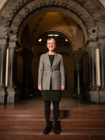REKTOR: Anne Borg er NTNUs nye rektor. REKTOR: Anne Borg er NTNUs nye rektor.