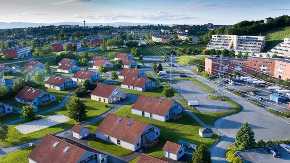 Steinan studentby solgt
