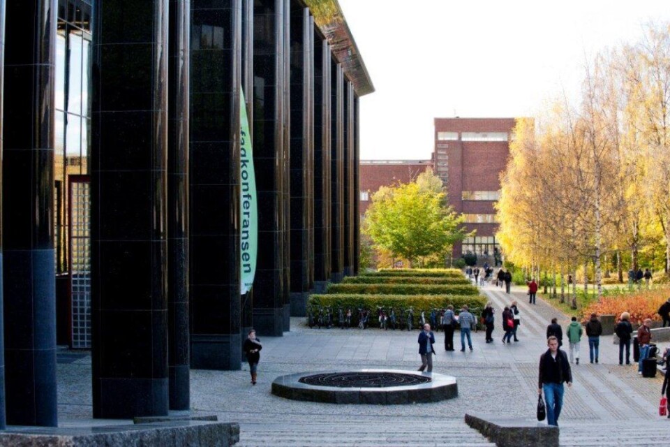 Universitetet i Oslo