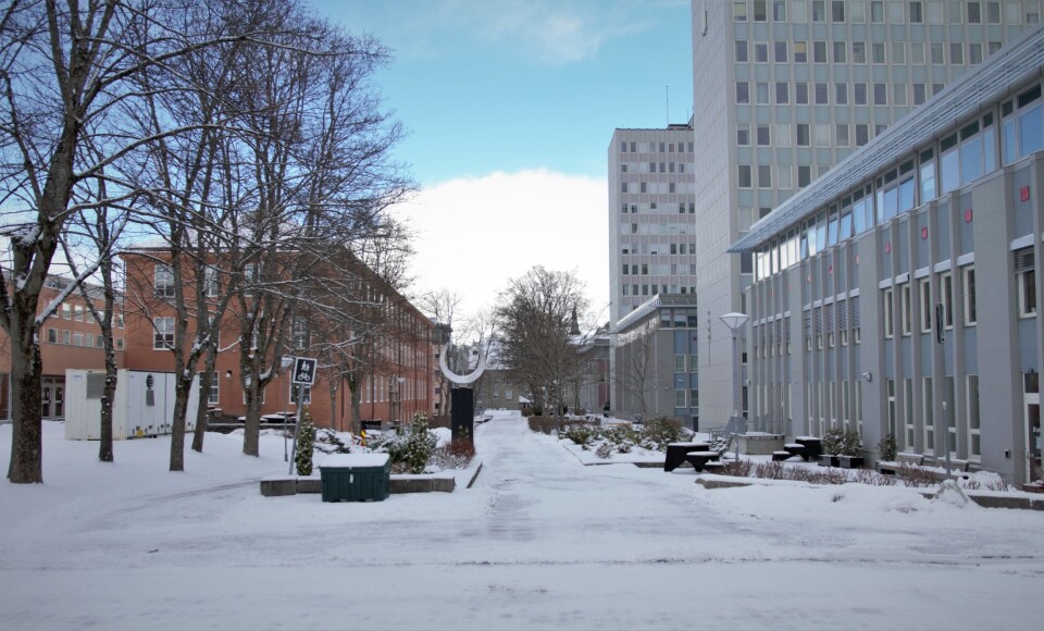 Stille på campus